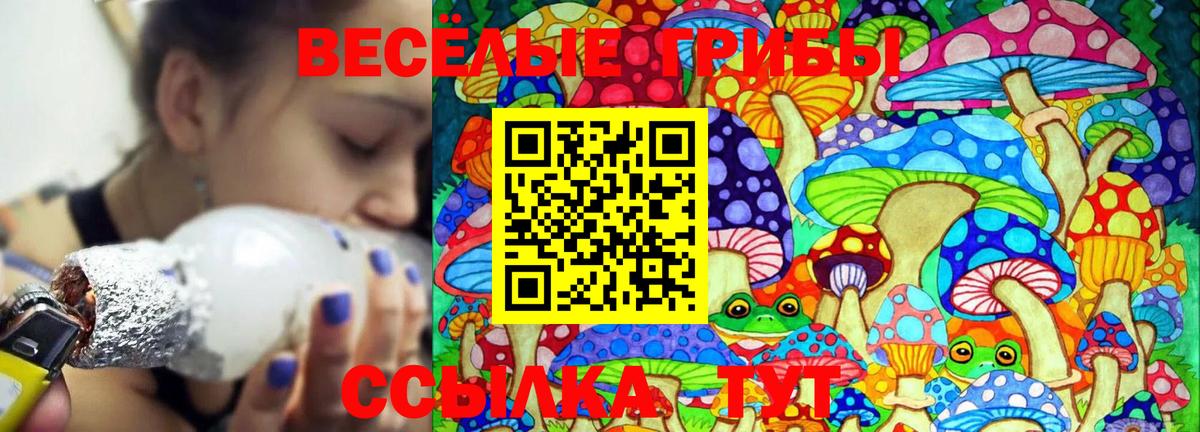Россия  Псилоцибиновые грибы Cubensis  Галлюциногенные грибы MAGIC MUSHROOMS  Вход с VPN 